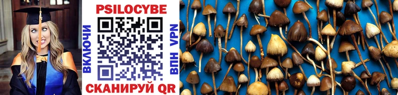 Псилоцибиновые грибы MAGIC MUSHROOMS Волхов