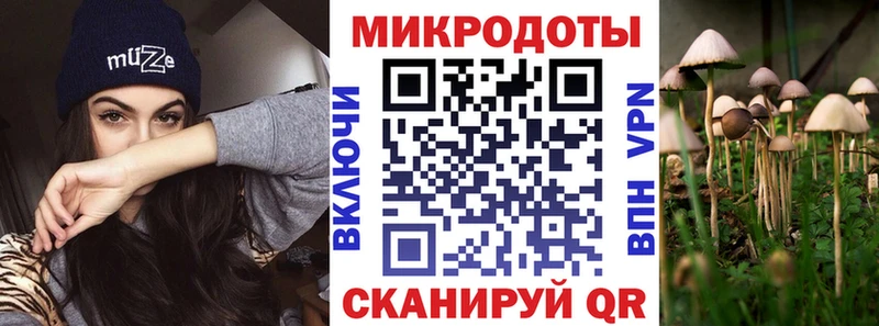 купить закладку Волхов Галлюциногенные грибы GOLDEN TEACHER