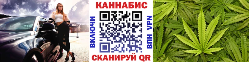 сколько стоит  Волхов  Бошки Шишки ГИДРОПОН 